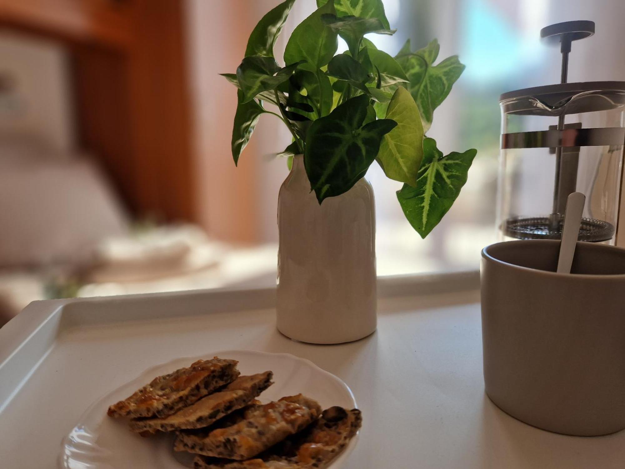 Apartamento House Olive Garden Strunjan Exterior foto
